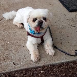 Meet your Posher, Tim